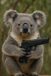 Coala with a gun Meme Template