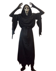 HOLY CRAP Ghost Face Meme Template