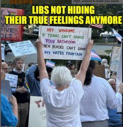 Protesters Meme Template