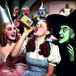 Girls' Night in Oz Meme Template