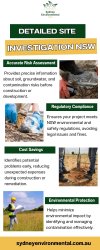 Detailed Site Investigation NSW Meme Template