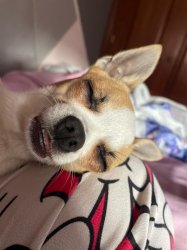 Can I have a kiss? Meme Template