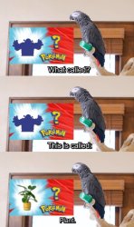 Apollo and Frens - Shrek? No, Plant. Meme Template