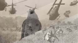 Apollo and Frens - Apollo G. Burd's Vietnam Flashback Meme Template
