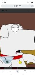 My favorite family guy character Brian Griffin Meme Template