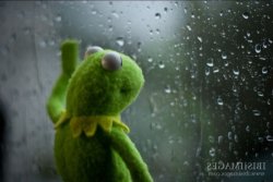 Kermit Meme Template