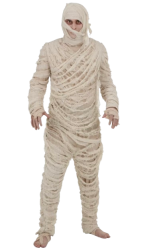 Mummy Costume Meme Template