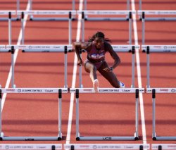 Hurdle race Meme Template