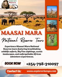 Maasai Mara National Reserve Tours Meme Template