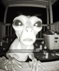 Humans are overrated, Bro. Meme Template