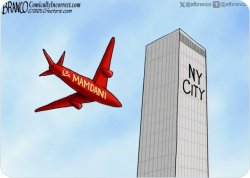 Zohran the Moron Meme Template