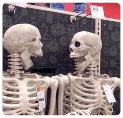 two skeletons Meme Template
