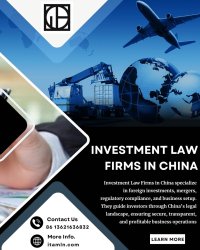 Investment Law Firms in China Meme Template