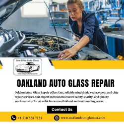 Oakland Auto Glass Repair Meme Template