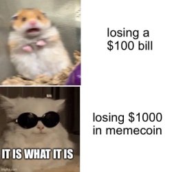 Memecoin Meme Template