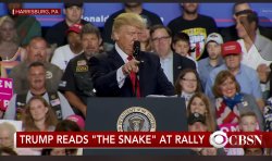 Snake poem Meme Template