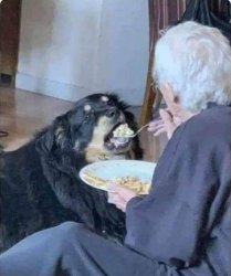 Chrisjoines1 Meme Template