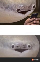 Sacabambaspis argument Meme Template