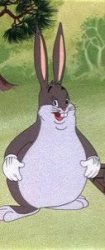 Biggest chungus Meme Template