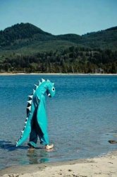 How is Nessie Meme Template