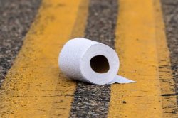 Toilet paper in street Meme Template