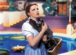 Dorothy80's Meme Template
