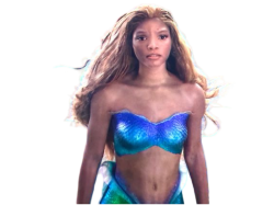 ugly ariel Meme Template