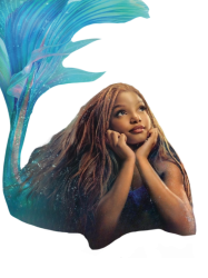 ugly mermaid Meme Template