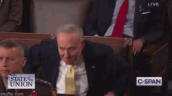 Schumer whoops Meme Template