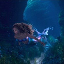 Halle ariel Meme Template