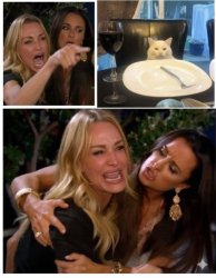 Woman yelling at cat 3 panels Meme Template