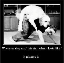 Dog Bone Meme Template