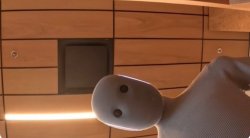 Neo Home Robot Meme Template