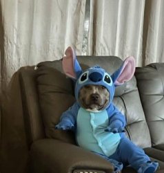 Calm down Meme Template