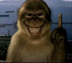 monkey gets the idea Meme Template