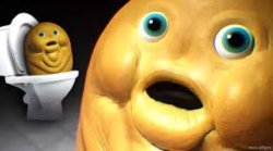 gutty eggs and skibidi fan. Meme Template