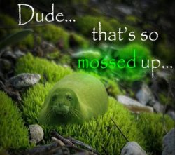 that's so mossed up Meme Template