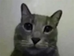 yo got games on yo phone? Meme Template