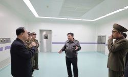 The gang Meme Template