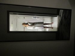 Mirror Meme Template