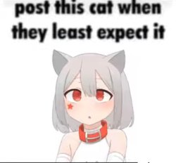 Hellcat Meme Template