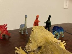 plastic dinosaurs Meme Template