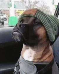 Chrisjoines1 Meme Template