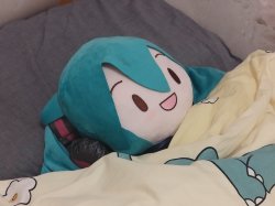 Sleeping miku plushie meme Meme Template