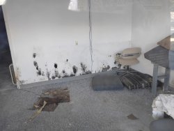 Affordable Apartment Meme Template