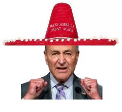 Chuck Schumer Maga Sombrero Meme Template