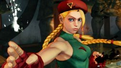 beautiful cammy Meme Template