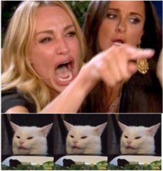Woman screaming at 3 cats Meme Template