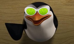 Understand Concept of Bird Meme Template