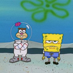 Spongebob and Sandy front facing Meme Template